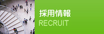 採用情報